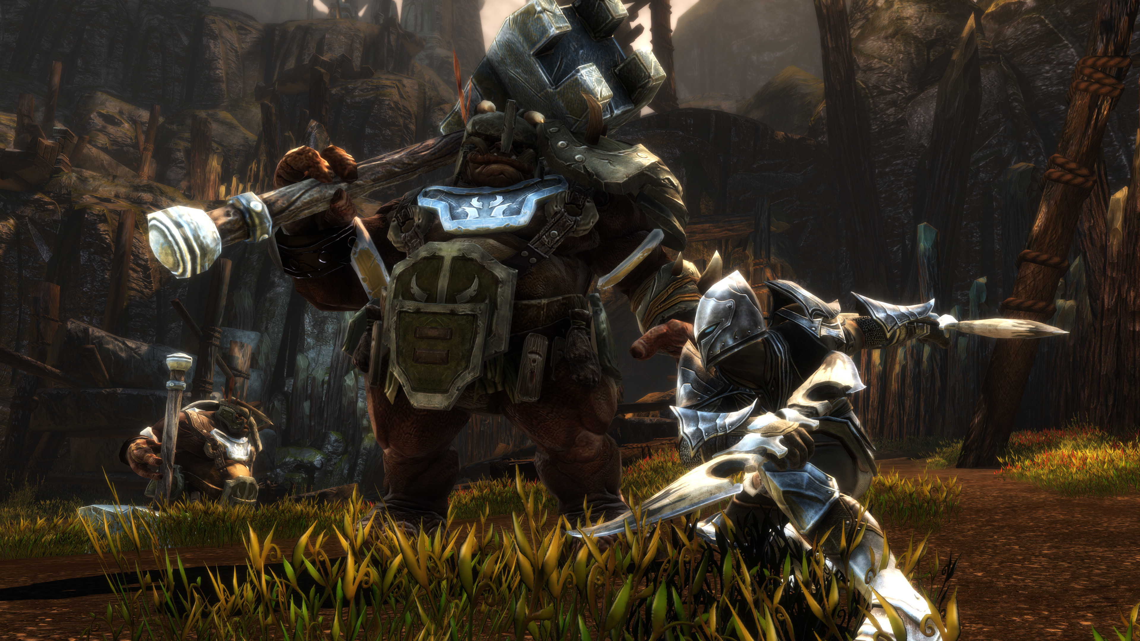 imagem do jogo Kingdoms of Amalur: Re-Reckoning 3