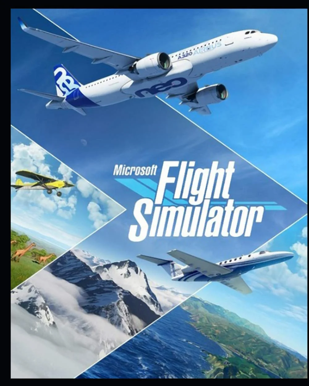 Microsoft Flight Simulator